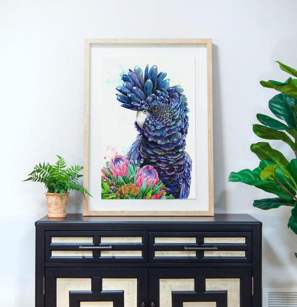 Black Cockatoo and Protea Print