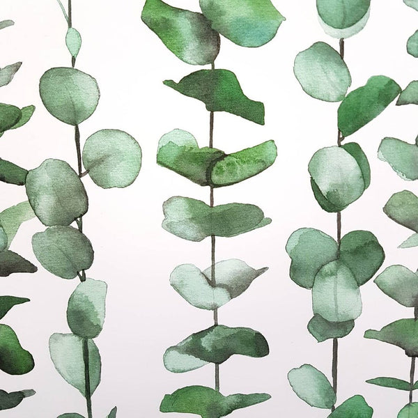 Eucalyptus Watercolour