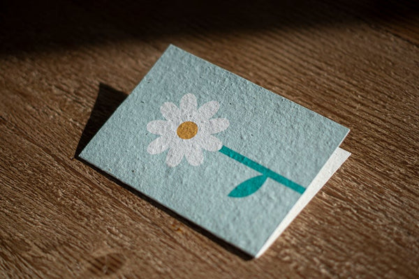 Daisy - Plantable Card