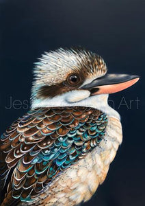 Archie the Kookaburra