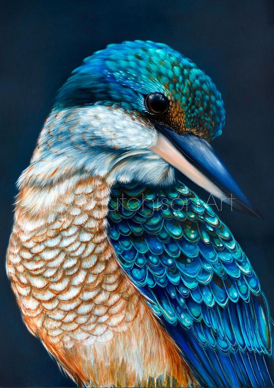 'Kingsley' the sacred Kingfisher