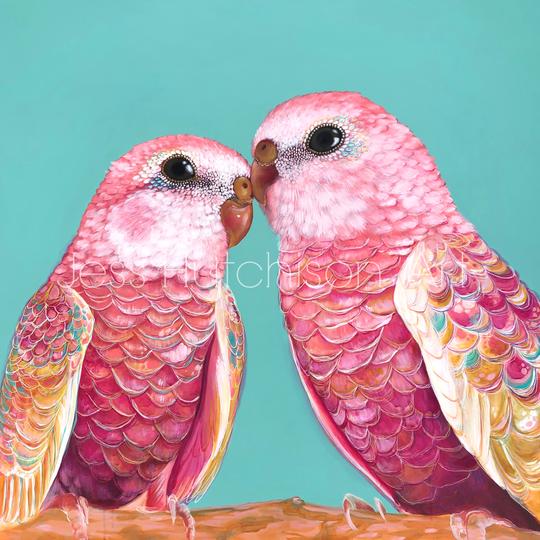 'Orville and Wilbur' Bourke's Parrots