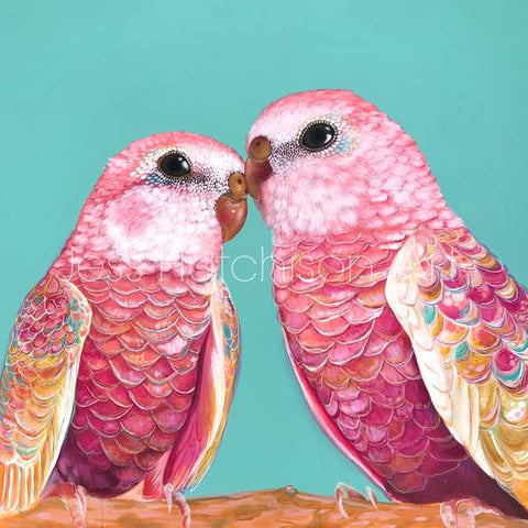 'Orville and Wilbur' Bourke's Parrots