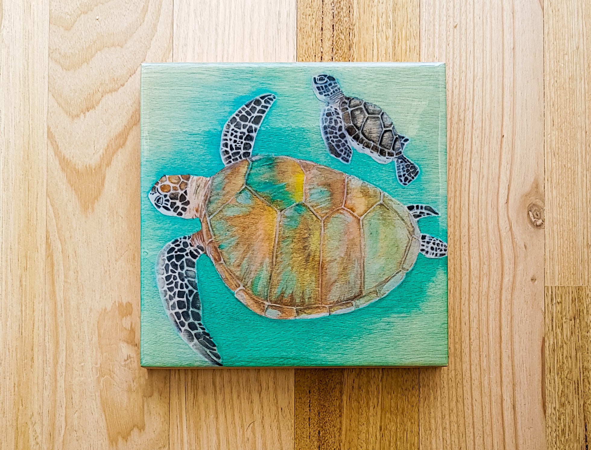 Sea Turtles – Journey Under the Sea