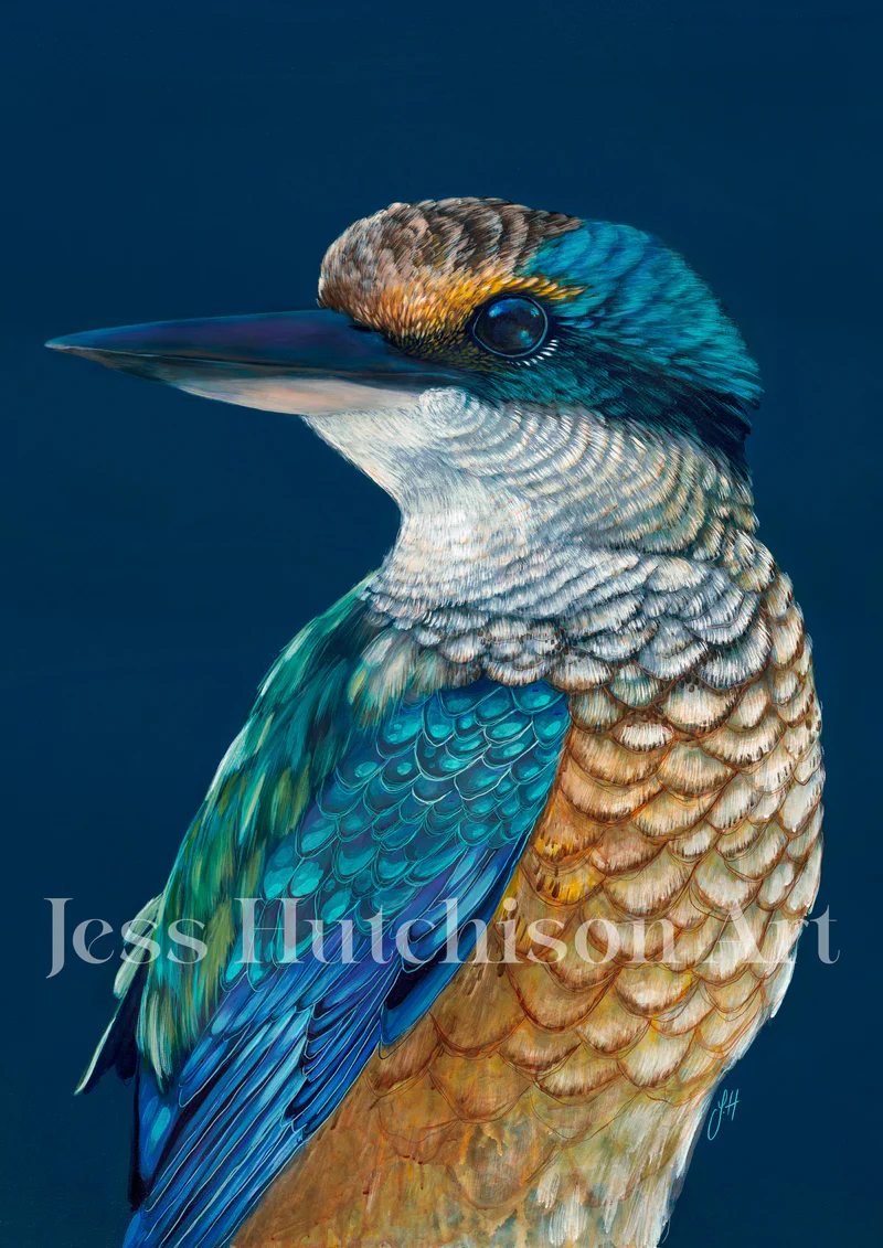 Fisher the Sacred Kingfisher