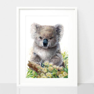 Koala & Eucalyptus Blossom Print
