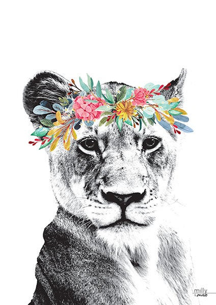 Lioness- Art Print