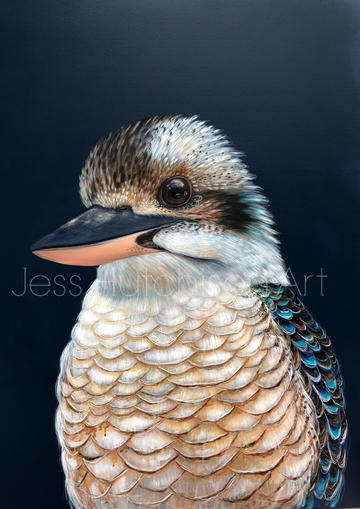 Ollie the Kookaburra