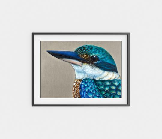 'Reef' The sacred Kingfisher