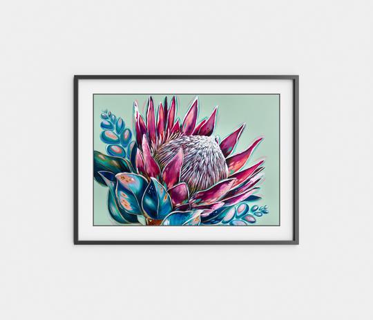 'True Colours' King Protea