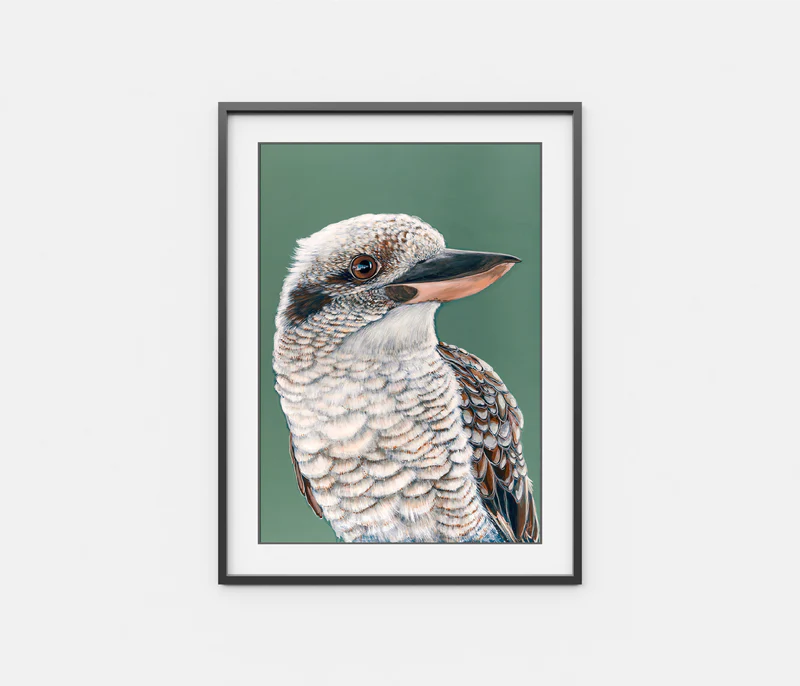 Tucker the Laughing Kookaburra