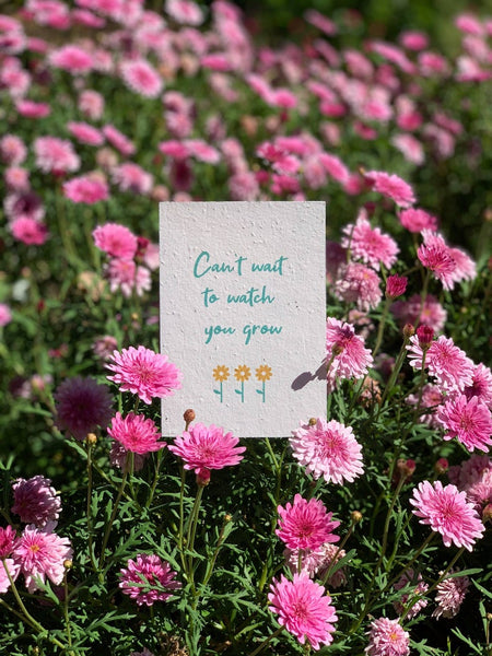 Can't Wait to Watch You Grow - Plantable Card