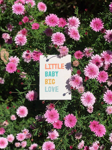 Little Baby Big Love - Plantable Card