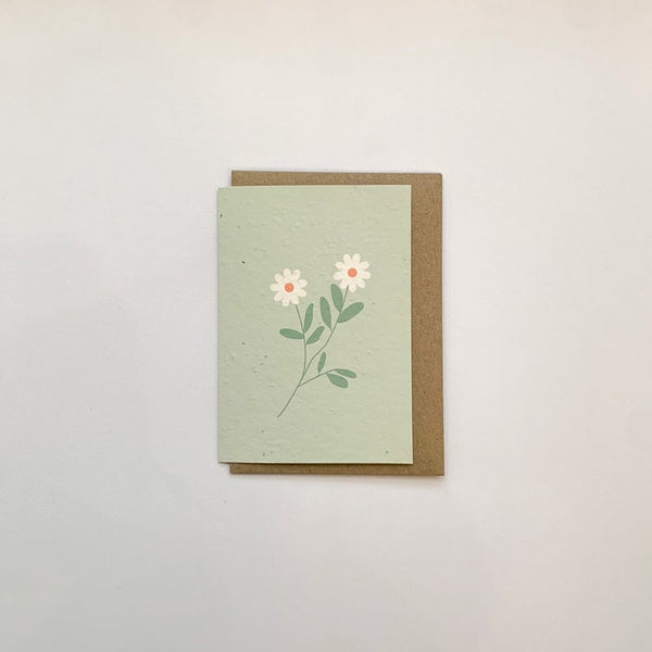 Green daisies - Plantable Card