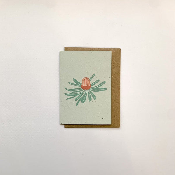 Banksia - Plantable Card