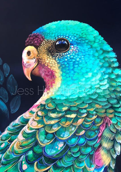 Swifty the Swift Parrot
